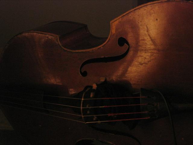 Peter Jacquemyn bass